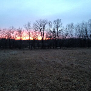 How to Finance Buying Land: Should We Go into Debt? Image